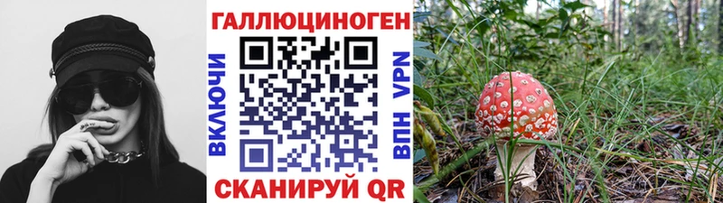 наркотики  Среднеуральск  OMG рабочий сайт  Галлюциногенные грибы Cubensis 
