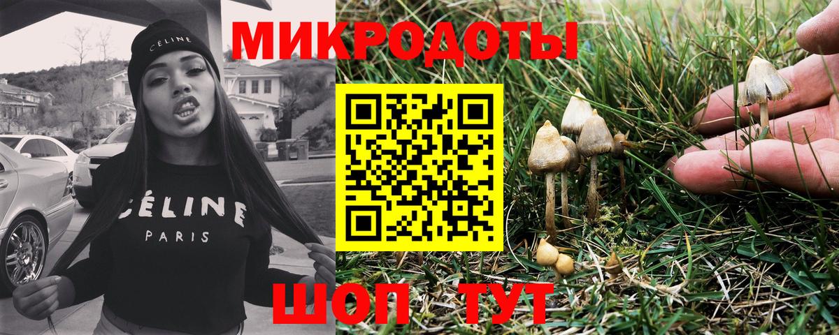 Среднеуральск  Псилоцибиновые грибы MAGIC MUSHROOMS  Вход с VPN 